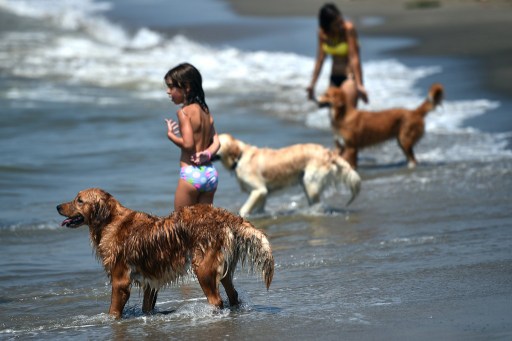 FOTO GABRIEL BOUYS/AFP