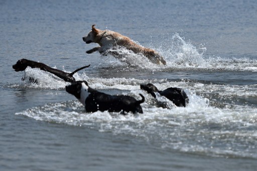 FOTO GABRIEL BOUYS/AFP