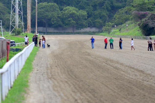 Hipódromo La Rinconada6