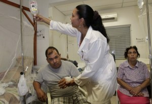 Paraguay eleva a 29 las muertes por dengue en lo que va de año