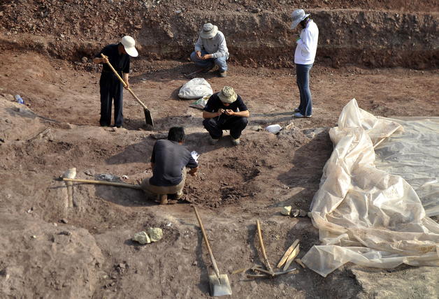 Hallan en Mongolia huella de un dinosaurio gigante