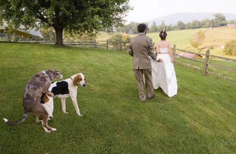 Éstas son las fotos que NO debes tomarte en tu boda