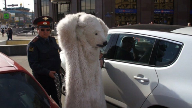 Detienen a Oso polar (Video)