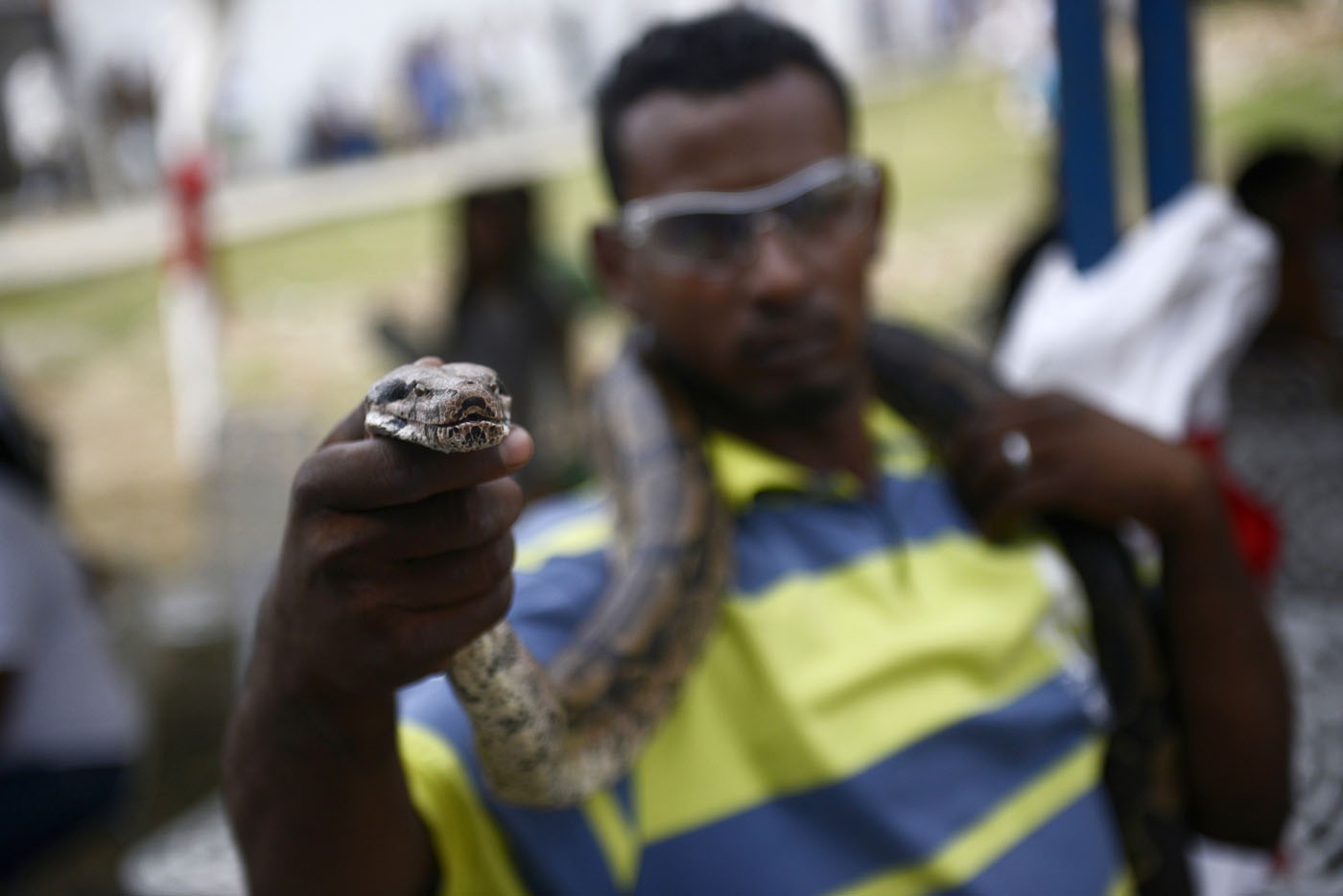 Esta es la mascota de un preso de San Juan de los Morros (Foto)