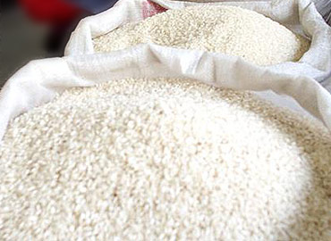 Precios del maíz y el arroz siguen sin ajustarse