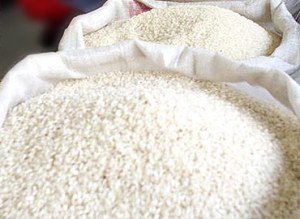 Productores de arroz reiteran la necesidad de aumentar el precio del rubro