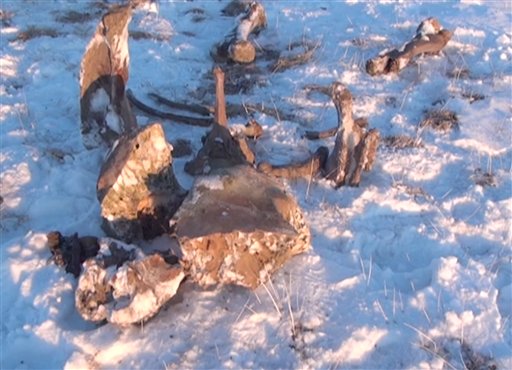 Restos de mamut con sangre líquida fue hallado en el Ártico (FOTO)