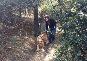 Adolescente sufre enormes rasgaduras tras intentar besar a un león (Fotos)