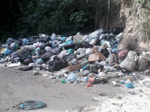 Denuncian incompetencia de la alcaldía por crisis de basura que se vive en San Pedro