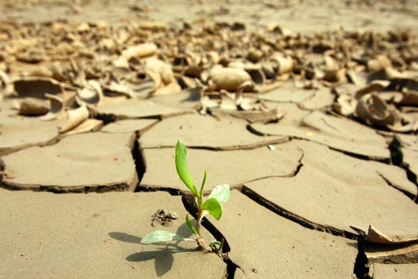 Los efectos del calentamiento global durarán 200.000 años