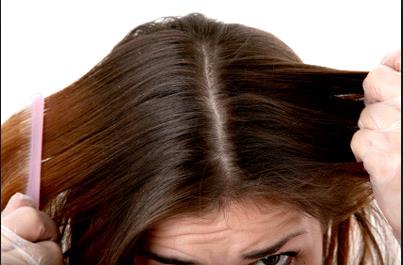 Sigue este tip para eliminar la grasa de tu cabello
