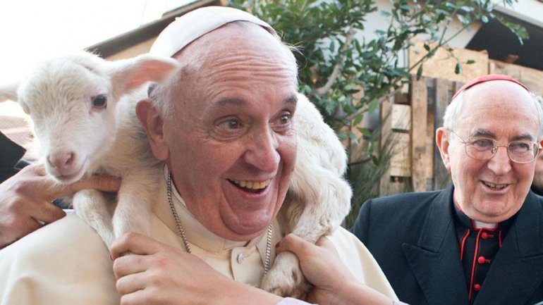Foto “insólita” del Papa con un cordero tiene un fuerte significado