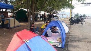 Gochos también armaron su campamento…frente a toldo de la GNB (Fotos)