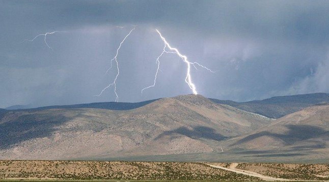 Un rayo mata 64 vacas en Chile