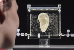 Reconstruyen la oreja de Van Gogh a partir de las células de un descendiente