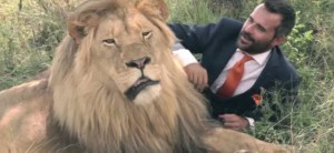 El susurrador de leones también juega fútbol con estas hermosas criaturas (Video)