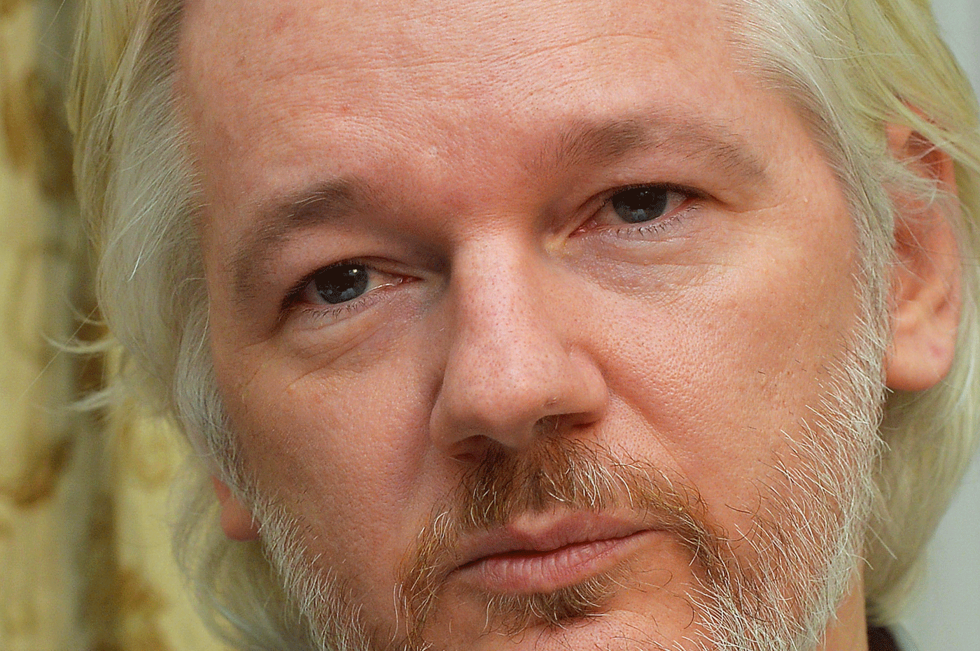 WikiLeaks denuncia interrupción deliberada de conexión a internet de Assange
