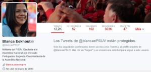 #SoloEnVenezuela diputada pone privada su cuenta de Twitter (Foto)