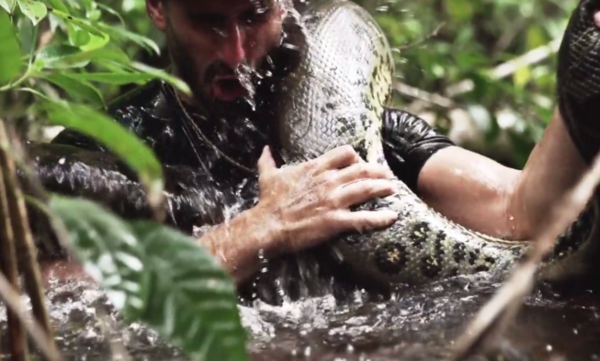 Fracasaron: Anaconda no se tragó al científico en Discovery Channel