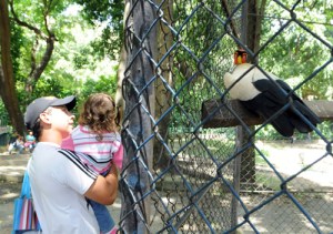 Cerrado zoológico de Maracay por falta de alimentos y seguridad