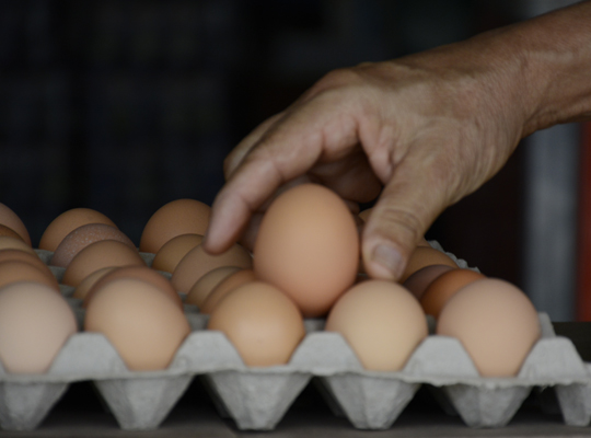 A falta de carne y pollo se dispara el consumo de huevos en Lara