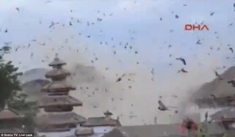 Cientos de aves llenaron el cielo de Nepal durante el terremoto (video)