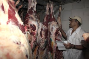 Producción de carne en el país es de apenas 36%