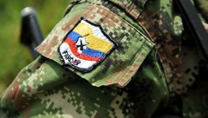 Discutir la entrega de armas, el paso definitivo de las Farc hacia la paz