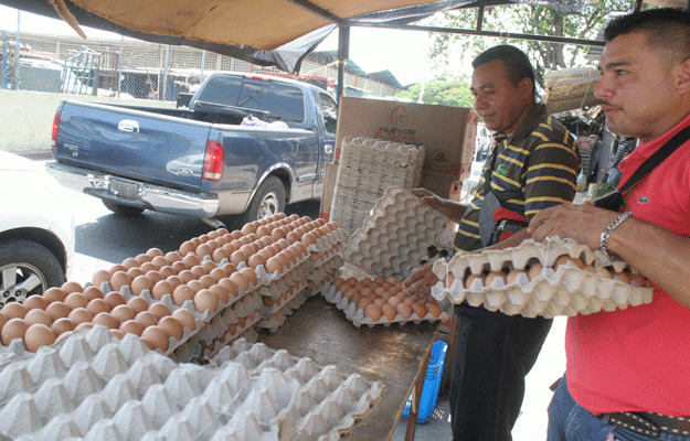 Fijan precio del huevo de gallina a 14 y el cartón a 420 bolívares