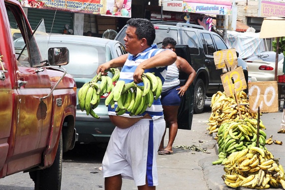 En dólares venden la cesta de plátanos en Vargas