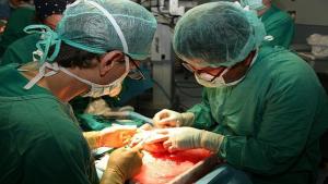 En Venezuela el mayor porcentaje de órganos donados provienen de fallecidos de hechos violentos y accidentes viales
