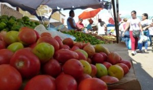 A 700 bolívares aumentó el kilo de tomate en mercados populares de Puerto La Cruz