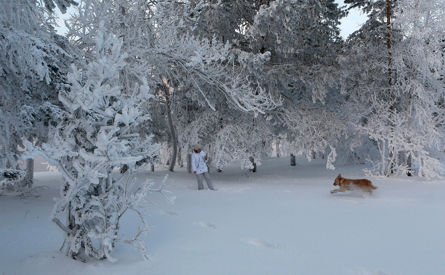 La mayor nevada del invierno cubre Moscú con un gran manto blanco (Fotos)