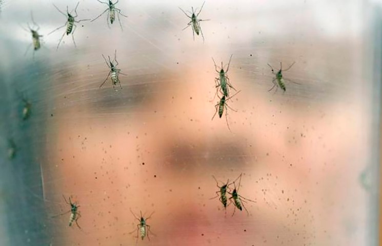 ¿Por qué solo Canadá y Chile se salvan del Zika?