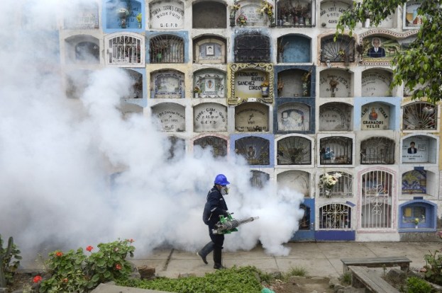 Fumigación contra el zancudo que transmite el zika AFP / ERNESTO BENAVIDES