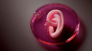 Crean un sistema de impresión 3D capaz de imprimir orejas y órganos humanos