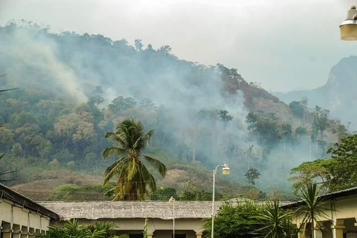 Murió recién nacido en la Sierra de Perijá por humo de incendios forestales