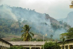 Incendio en la Sierra de Perijá ha consumido de 70 a 80 hectáreas