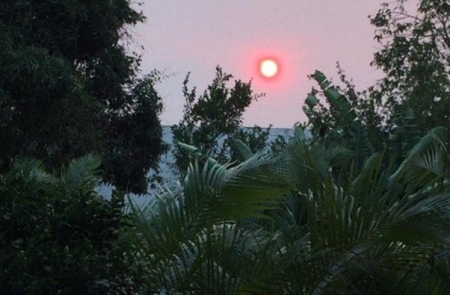 sol rojo caracas calima