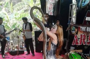 (VIDEO) Muere cantante al ser mordida por una cobra durante un concierto