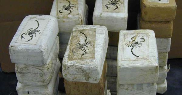 Autoridades de Panamá encuentran 401 kilos de cocaína procedentes de Cuba con destino Bélgica