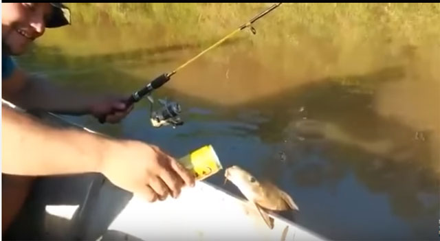 VIDEO: Este pescador salió con amigos para darle cerveza a un pez en el río