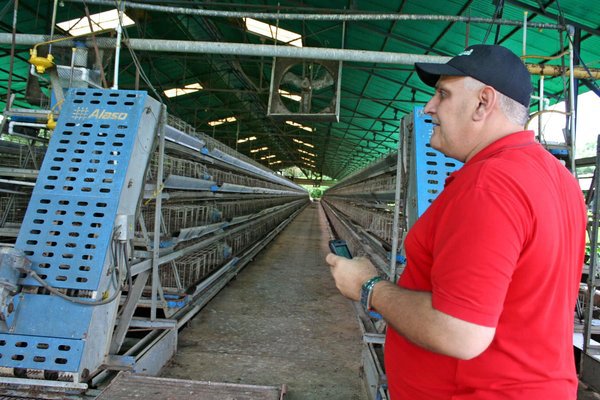 Ruina y tristeza en granjas avícolas del Táchira por falta de alimento y medicinas