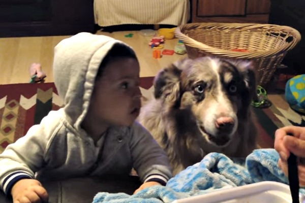 ¿WTF? Intentaban que el bebé dijera su primera palabra pero el perro se adelantó (Video)