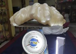 Localizan en Filipinas una perla de 34 kilos, posiblemente la mayor del mundo (Fotos)