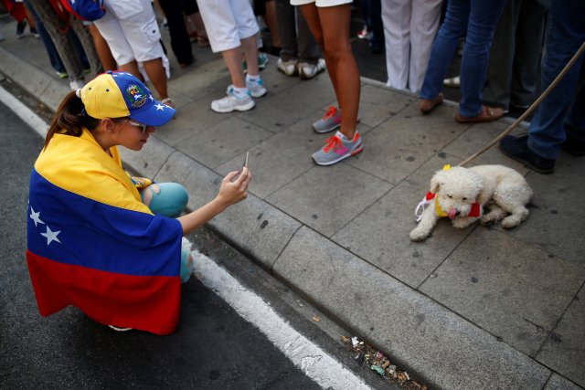 A protester takes pictures of a dog wearing the Venezuelan flag around his neck during a demonstration to demand a referendum to remove Venezuela's President Nicolas Maduro, in Madrid, Spain, September 4, 2016. REUTERS/Susana Vera