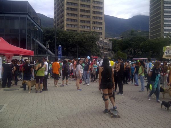 Caraqueños mascotas escasez protesta5