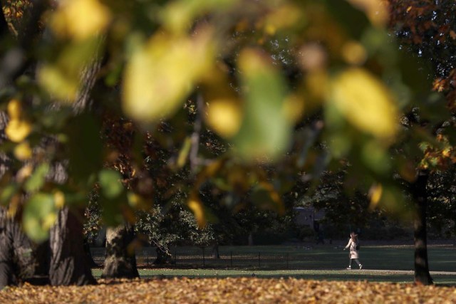 A woman walks in St James's Park on an autumn day in central London, Britain November 2, 2016. REUTERS/Stefan Wermuth