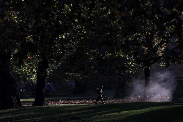 A worker blows leaves off the grass on an autumn day in St James's Park in central London, Britain November 2, 2016. REUTERS/Stefan Wermuth