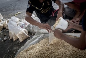 El maíz se ha convertido en una opción ante la escasez de harina